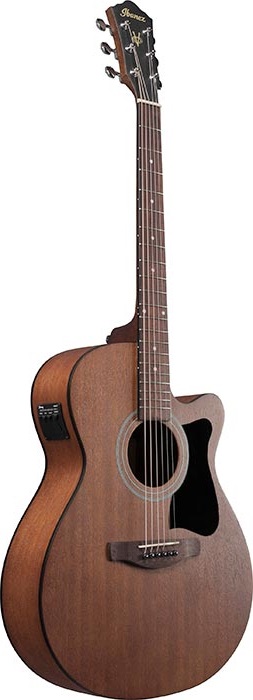 [A/003790] Ibanez AW65ECE LG Image 