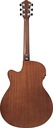 [A/003790] Ibanez AW65ECE LG Image 