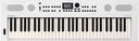 Roland GO:Keys 5 WH