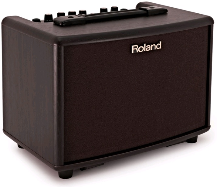 Roland AC-33-RW