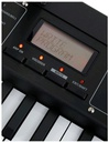 Korg microKORG XL +