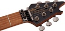 EVH Wolfgang WG Standard Exotic Bocote, Baked Maple Fingerboard, Natural