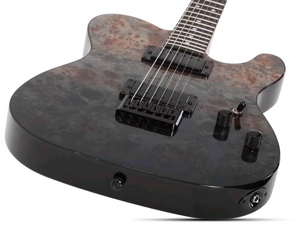 Schecter PT Standard BFBB