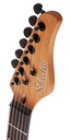 Schecter PT Standard BFBB