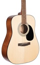 Cort AD810 OP