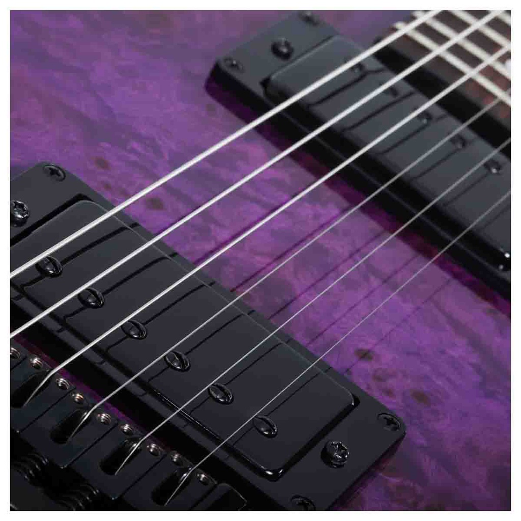 Schecter PT Standard Purple Burst Burl (PBB)