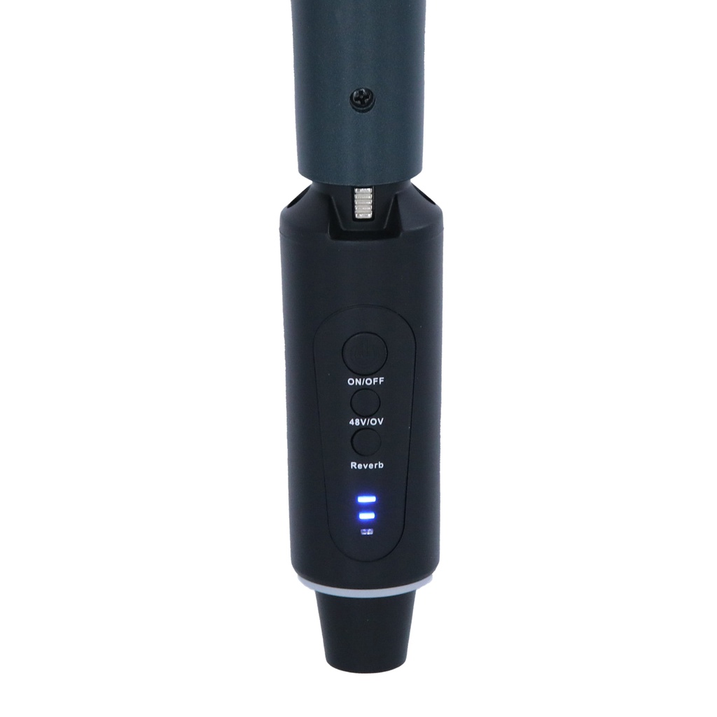 Definitive Audio Plug 120R 2.4G