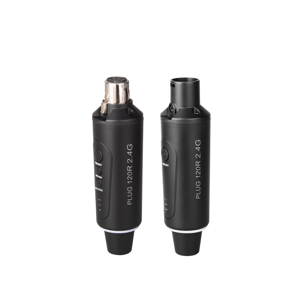 Definitive Audio Plug 120R 2.4G