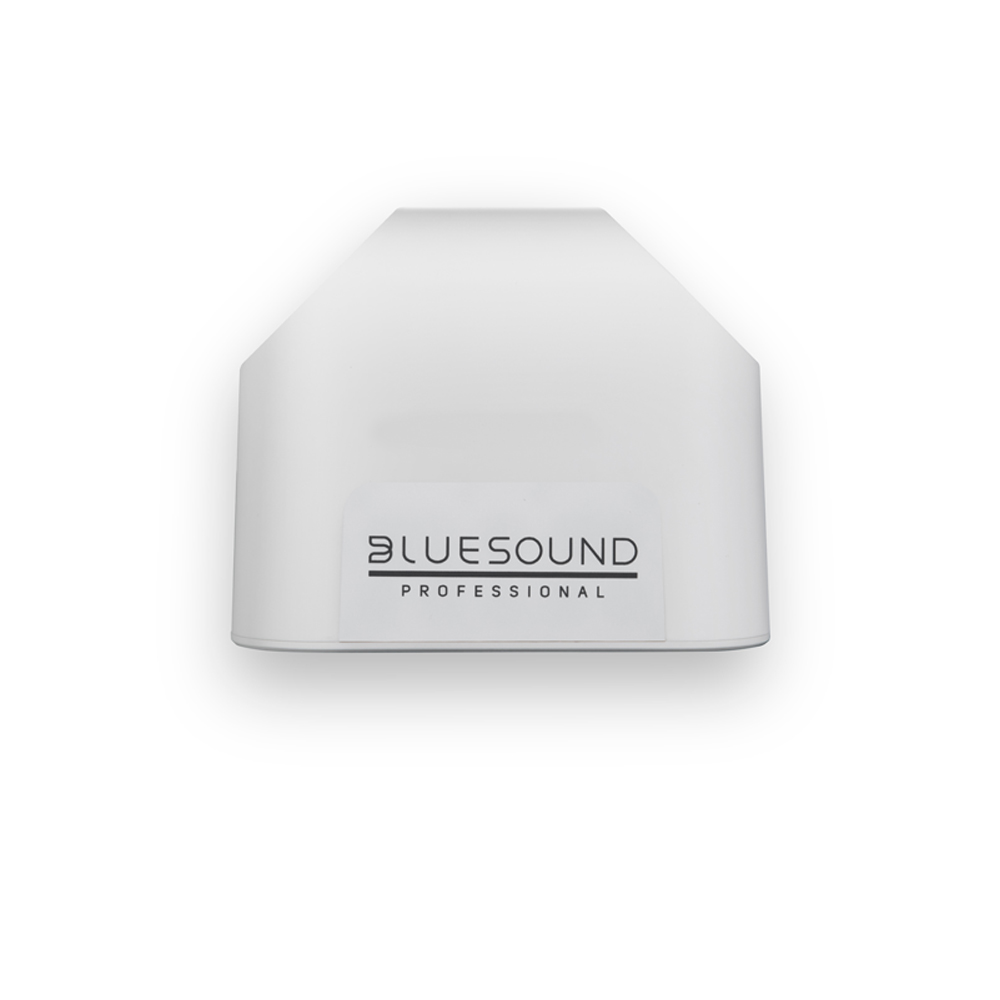 Bluesound Professional BSP125 White