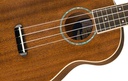 Fender Venice Soprano Uke BLK WN