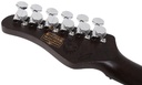 [A/006071] Schecter Nick Johnston Traditional HSS ASNW Image 