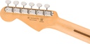 Fender Player II Series Stratocaster HSS RW 3TS