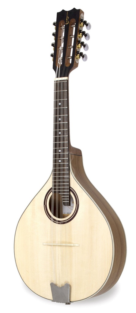APC MDL308 Electrificado