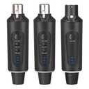 Definitive Audio Plug 210R 2.4G