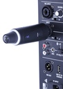 Definitive Audio Plug 210R 2.4G
