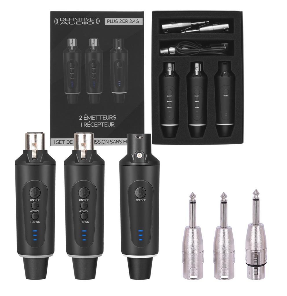 Definitive Audio Plug 210R 2.4G