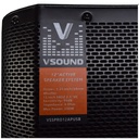 VSound VSS PRO 12"