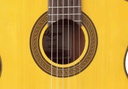 Takamine GC3CE Natural
