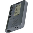 Korg VPT-1 Vocal Pitch Trainer