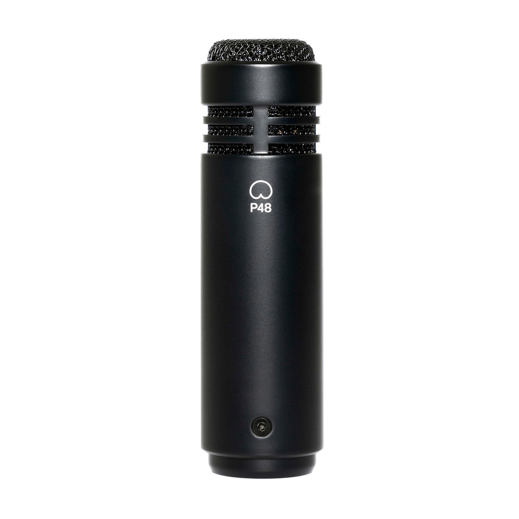 Lewitt LCT 040 MATCH