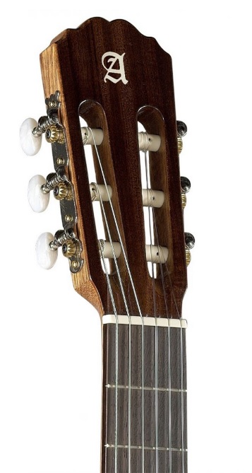 Alhambra 1C HT Hybrid Terra 4/4 com saco