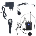 Power Acoustics MW 100 PT