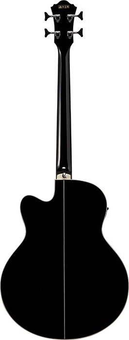 Ibanez AEB8E-BK