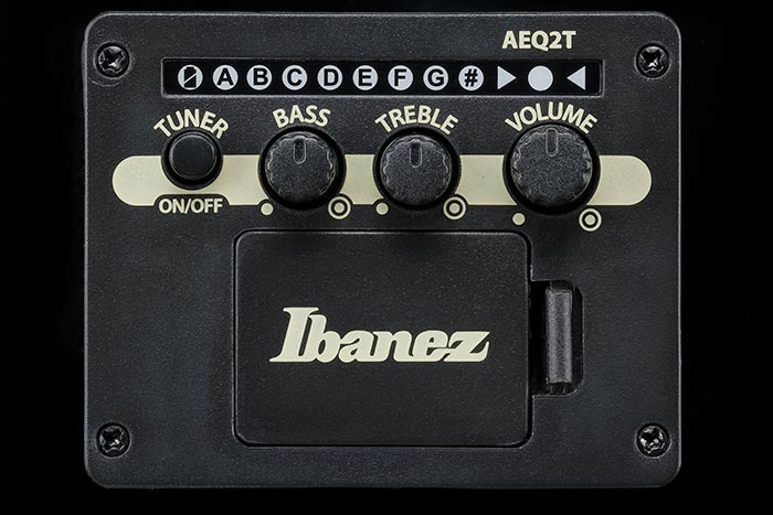 Ibanez AEB8E-BK
