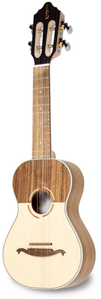 APC 108 Eletrificado