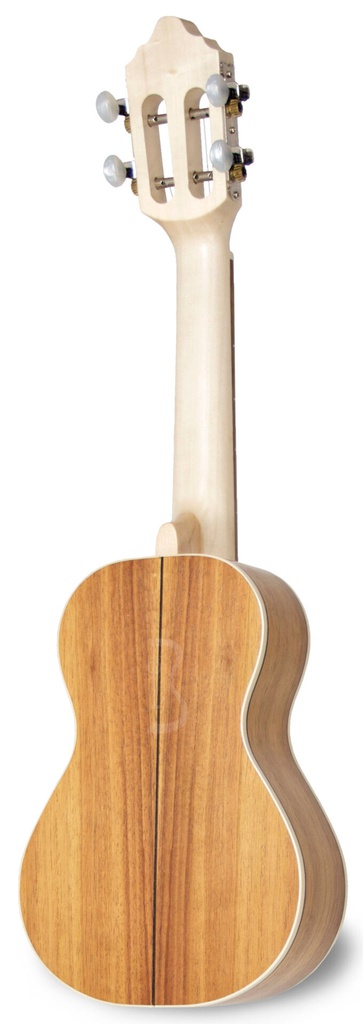 APC 108 Eletrificado