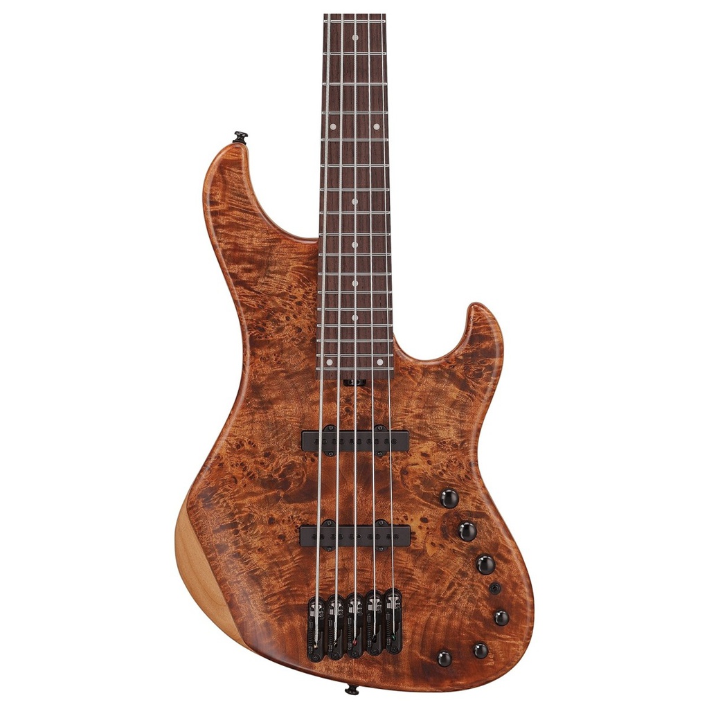 Ibanez MDM1605-NML