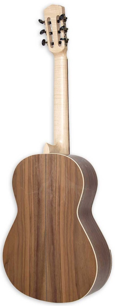 Carvalho Root CG SW