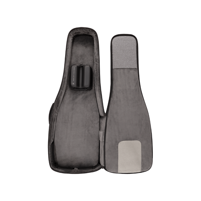 Daddario PW-BLEGC-01