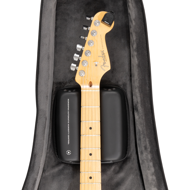 Daddario PW-BLEGC-01