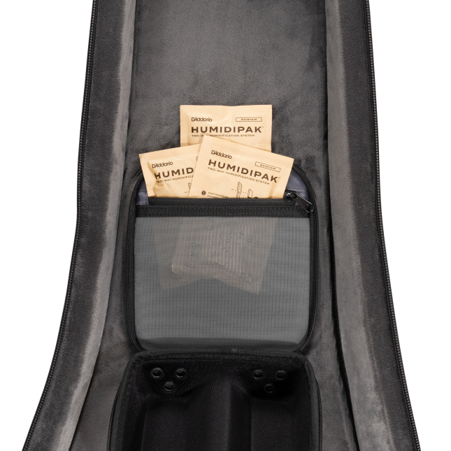 Daddario PW-BLEGC-01