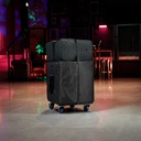 LD Systems DAVE 12 G4X Bag Set