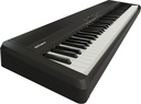 Roland FP-40 BK