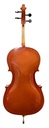 Cervini HC-100 1/4