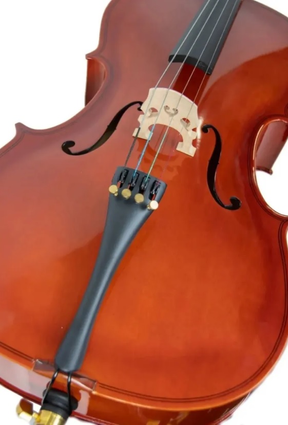 Cervini HC-100 1/4
