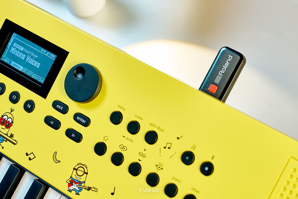 Roland GO:Keys 3 Minions