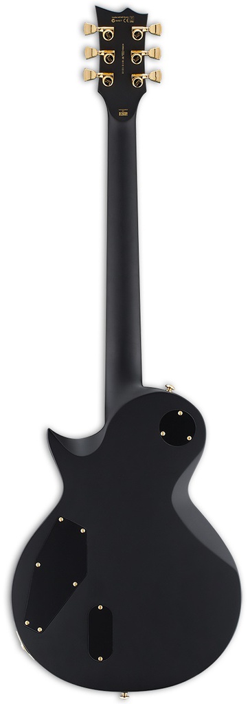 [A/002203] ESP LTD EC1000 Vintage Black Image 