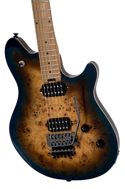 [A/002249] EVH WG Standard Exotic MS Image 