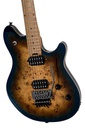 [A/002249] EVH WG Standard Exotic MS Image 