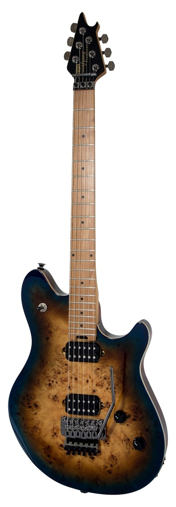 [A/002249] EVH WG Standard Exotic MS Image 