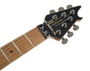 [A/002249] EVH WG Standard Exotic MS Image 