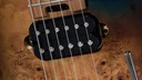 [A/002249] EVH WG Standard Exotic MS Image 