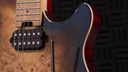 [A/002249] EVH WG Standard Exotic MS Image 