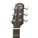 Walden G570E Tobbaco Burst