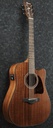 [A/003789] Ibanez AW54CE-OPN Image 