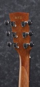 [A/003790] Ibanez AW65ECE LG Image 